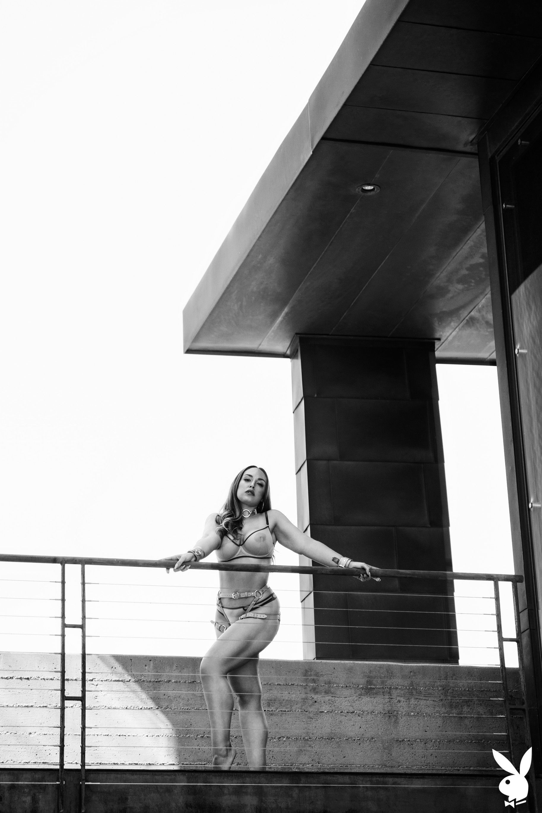 Galerie des Tages - Bild 5