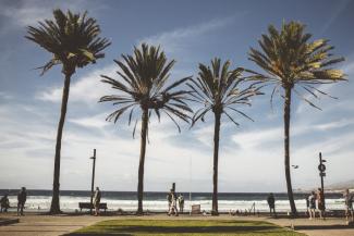 Palmen statt Weihnachtsbäume - am Playa de las Americás.