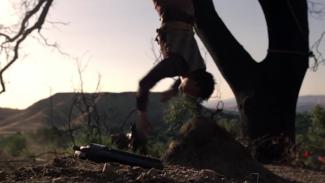 Westworld Season 2 - Trailer