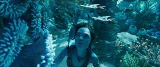 „Avatar: The Way of Water“: So bildgewaltig ist der erste Trailer