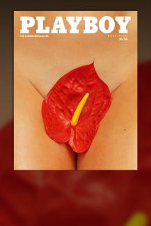 50 Jahre Playboy Deutschland – Die große Jubiläumsausgabe mit dem Cover gestaltet von Michel Haddi