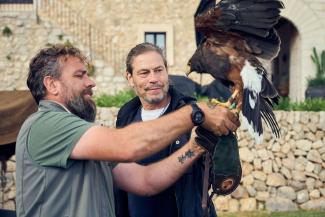 Im Auge des Falken: Jaume Coll Benassar zeigte die majestätische Kraft seiner Raubvögel.