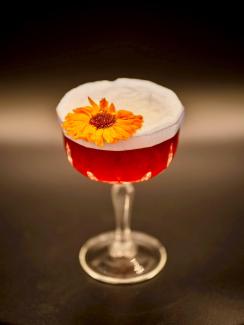 Cocktail-Rezept für „154 Barmaids Portrait“