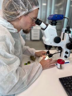 Cannabis-Sommelier Dominik Benedens bei der Arbeit im Labor